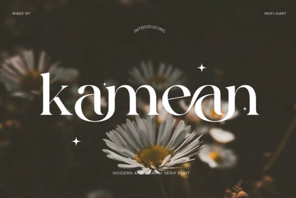 Kamean: Where Organic Sophistication Meets Modern Serif Design